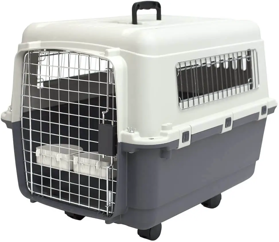 What Is The Best Boston Terrier Crate Size? (Pictures & Recommendations) - Happy Bostons