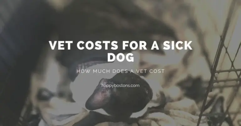 How much does a vet cost for a sick dog
