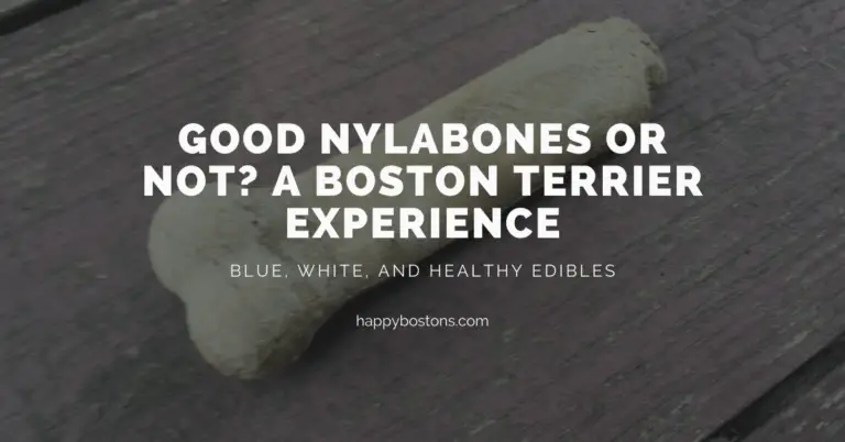 Nylabone Blue vs. Edible vs. White – Boston Terrier Experience